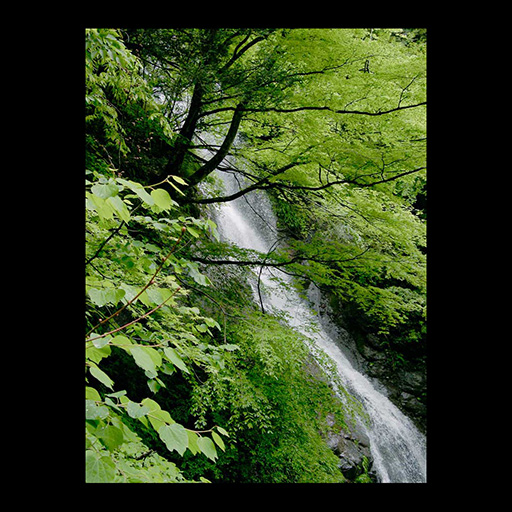 Koji Sato (Renpoo Tsukioka)